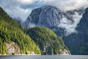 Fiord Prints: Canada, British Columbia, Central, Coast, Great Bear Rain Forest, Fiordland Conservancy
