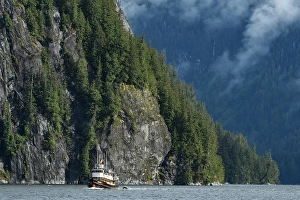 Boating Prints: Canada, British Columbia, Central Coast, Great Bear Rain Forest, The Swell