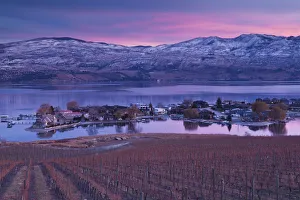 Pacific Coast Gallery: Canada, British Columbia, Okanagan Valley, West Kelowna, vineyard and lake