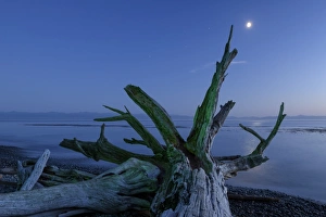 Canada, British Columbia, Vancouver Island, Juan DeFuca Straight, French Beach