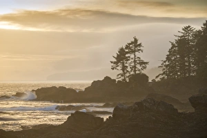 Canada, British Columbia, Vancouver Island, Port Renfrew, Juan deFuca Provincal Park
