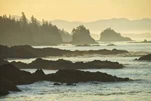 Serene Landscapes Gallery: Canada, British Columbia Vancouver Island, Ucluelet, West Coast