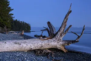 Canada, British Columbia, Vancouver Island, Juan DeFuca Straight, French Beach