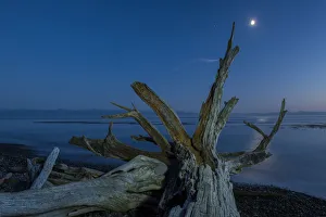 Moonlight Prints: Canada, British Columbia, Vancouver Island, Juan DeFuca Straight, French Beach in