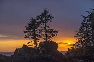 Canada, British Columbia, Vancouver Island, Port Renfrew, Juan deFuca Provincal Park