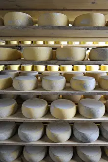 Culinary Prints: Canada, manufacturing house of the famous Sao Jorge traditional cheese, Santo Amaro