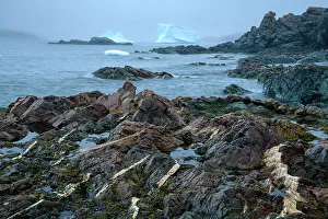 Canada, Maritimes, Newfoundland, Twillingate, iceberg