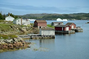 Canada, Maritimes, Newfoundland, Twillingate, Purcell's Harbour