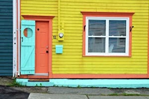 Neighborhood Collection: Canada, Maritimes, Newfoundland, St. John's, door, window, cat