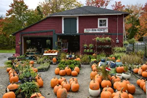Road Trip Prints: Canada, Maritimes, Nova Scotia, Upper Tantallon, Red Barn Market