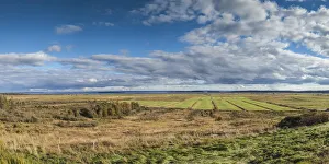Maritime Provinces Prints: Canada, New Brunswick, Bay of Fundy, Hopewell Hill, elevated view of fields and Bay