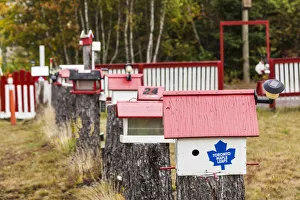 Images Dated 26th March 2019: Canada, New Brunswick, Kennebecasis River Valley, Smiths Creek, birdhouses