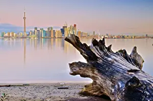 Cn Tower Prints: Canada, Ontario, Toronto, CN Tower and Downtown Skyline from Toronto Island