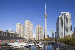 Canada, Ontario, Toronto, Harbourfront, CN Tower, morning