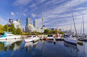 Images Dated 6th January 2012: Canada, Ontario, Toronto, Marina Quay West, Skyline with CN Tower