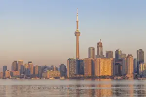 Canada, Ontario, Toronto, View of CN Tower and city skyline