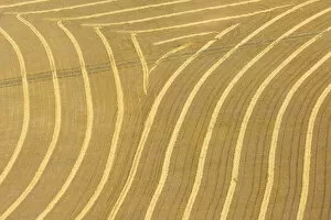 Images Dated 16th February 2010: Canada. Patterns in the rows of crop on the prairie shot from an airplane