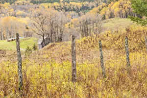 Canada, Quebec, Saguenay-Lac Saint-Jean Region, Saguenay Fjord, Ste-Rose-du-Nord, farm