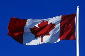 Patriot Prints: The Canadian Flag