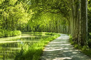 Canal du Midi, near Castelnaudary, Languedoc, France