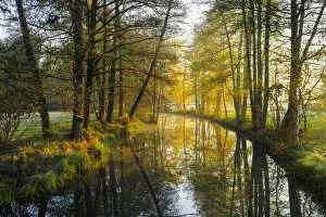 A canal in the Spreewald, Biosphere reserve Spreewald, Brandenburg, Germany, Europe