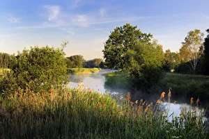 Middle Europe Prints: Canal in the Spreewald, Luebenau, Brandenburg, Germany, Europe