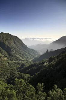Images Dated 10th August 2010: Canary Islands, La Gomera, Garajonay National Park (UNESCO Site)