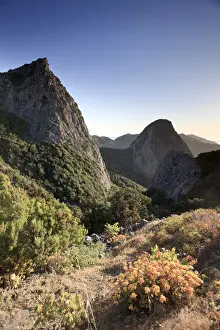 Canary Islands, La Gomera, Garajonay National Park (UNESCO Site), Los Roques