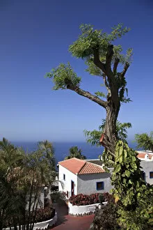 Images Dated 10th August 2010: Canary Islands, La Gomera, Playa Santiago, Jardin Tecina Resort