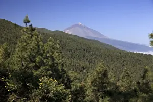 Teide Prints: Canary Islands, Tenerife, Parque Nacional del Teide (Teide National Park), UNESCO Site