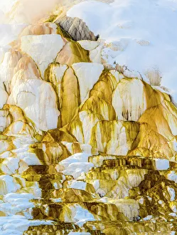 Carvings Prints: Canary Spring in winter, Mammoth Hot Springs, Yellowstone National Park, Wyoming, USA