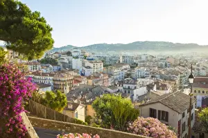 Mediterranean Prints: Cannes, Alpes-Maritimes, Provence-Alpes-Cote D Azur, French Riviera, France