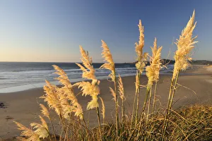 Collections: Coast Collection