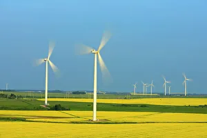 Wind Turbines Prints: Canola and wind turbines, Altamont, Manitoba, Canada Altamont, Manitoba, Canada