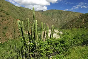 Images Dated 2nd July 2012: Canon del Chicamocha, Bucaramango, Colombia, South America