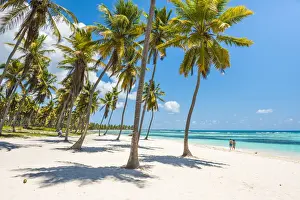 Canto de la Playa, Saona Island, East National Park (Parque Nacional del Este), Dominican