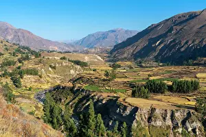 Peru Prints: Canyon Colca as seen from Mirador Achoma near Achoma and Chivay