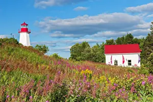 Cap-de-Bon-Desir lighthouse with fireweed Cap-de-Bon-Desir, Quebec, Canada