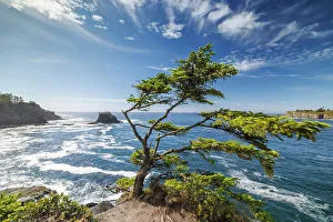 Sea Stacks Prints: Cape Flattery, Neah Bay, Makah Indian Reservation, Olympic National Park, Washington, USA