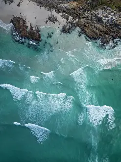 Cape Peninsula Prints: Cape of Good Hope, Cape Peninsula, Cape, South Africa