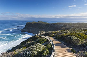 Images Dated 3rd August 2017: Cape of Good Hope, Cape Point National Park, Cape Town, Western Cape, South Africa