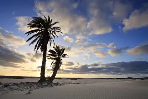 Cape Verde, Boavista, Rabil, Viana Desert