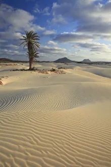 Cape Verde, Boavista, Rabil, Viana Desert