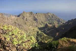 Cape Verde, Santo Antao, Ribeira do Paul (Paul Valley)