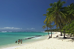 Guadeloupe Prints: Capesterre