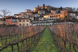Brescia Prints: Capriolo, Franciacorta, Brescia, Lombardy, Italy. Vineyards