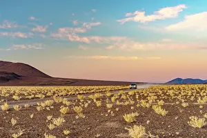 Drive Prints: Car crossing the high desert lands, Puna, Argentina