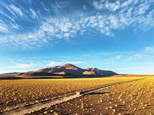 Pickup Prints: Car driving past desert shrubs, Puna, Argentina