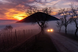 Blue Hour Prints: A car in the fog on a dirt road on Mount Fasolo