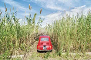 Car parked among long grass, Lipari, Aeolian Islands, Sicily, Italy